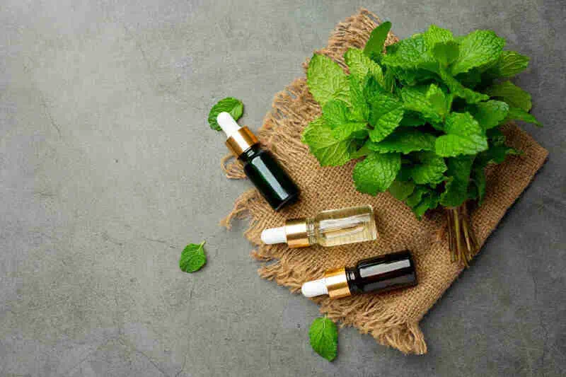 essential oil peppermint bottle with fresh green peppermint 1 1 2